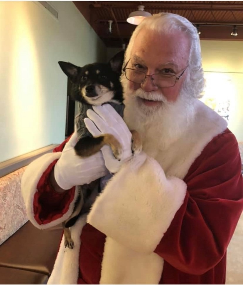 Santa Holding a Cat
